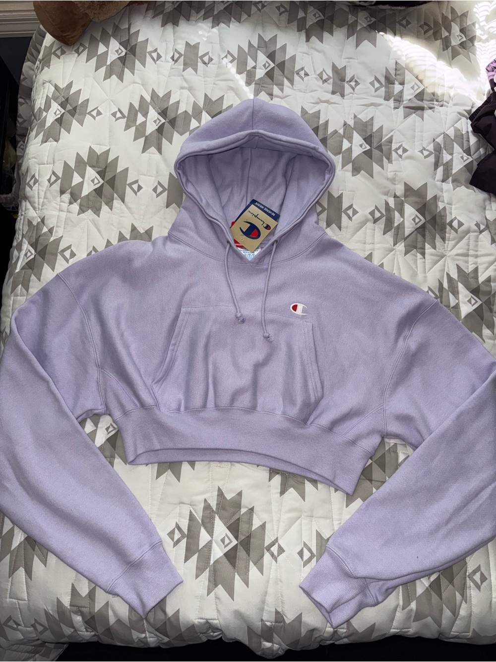 Champion Cropped Hoodie